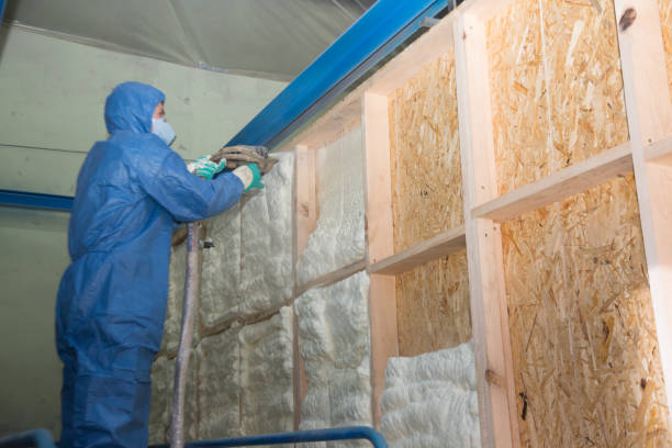 Best Crawl Space Insulation  in Canastota, NY