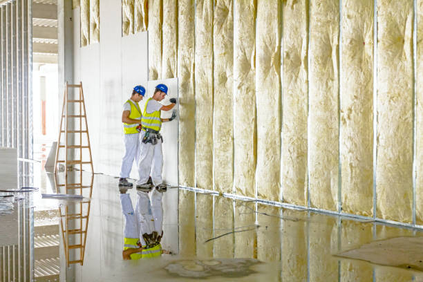Best Insulation Replacement Services  in Canastota, NY